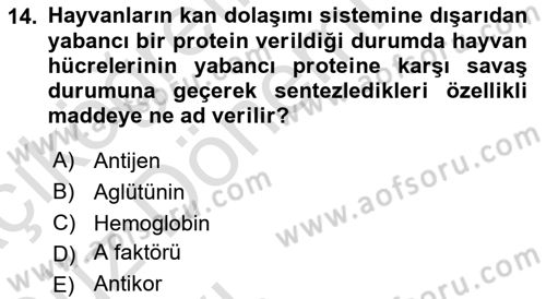 Temel Veteriner Genetik Dersi 2019 - 2020 Yılı (Vize) Ara Sınav Soruları 14. Soru