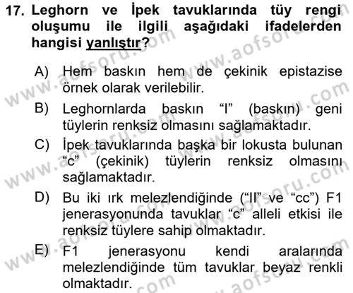 Temel Veteriner Genetik Dersi 2019 - 2020 Yılı (Vize) Ara Sınav Soruları 17. Soru