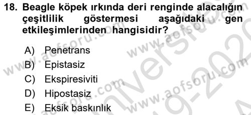 Temel Veteriner Genetik Dersi Ara Sınavı Deneme Sınav Soruları 18. Soru