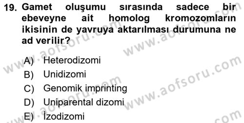 Temel Veteriner Genetik Dersi Ara Sınavı Deneme Sınav Soruları 19. Soru