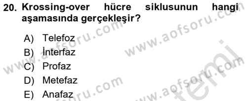 Temel Veteriner Genetik Dersi Ara Sınavı Deneme Sınav Soruları 20. Soru