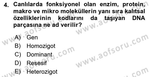 Temel Veteriner Genetik Dersi Ara Sınavı Deneme Sınav Soruları 4. Soru