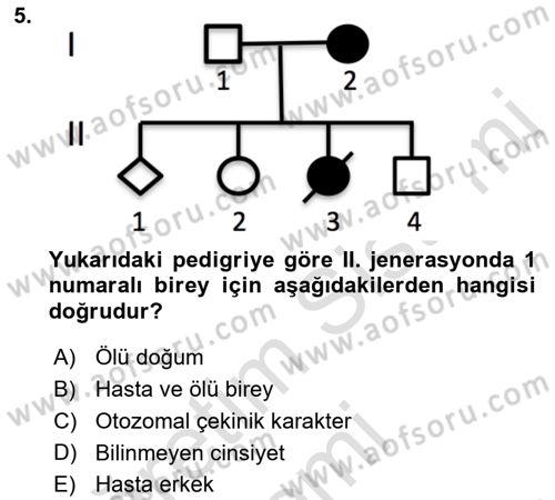 Temel Veteriner Genetik Dersi 2019 - 2020 Yılı (Vize) Ara Sınav Soruları 5. Soru