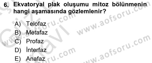 Temel Veteriner Genetik Dersi 2019 - 2020 Yılı (Vize) Ara Sınav Soruları 6. Soru