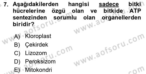 Temel Veteriner Genetik Dersi Ara Sınavı Deneme Sınav Soruları 7. Soru