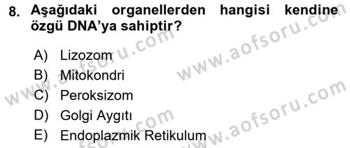 Temel Veteriner Genetik Dersi 2019 - 2020 Yılı (Vize) Ara Sınav Soruları 8. Soru