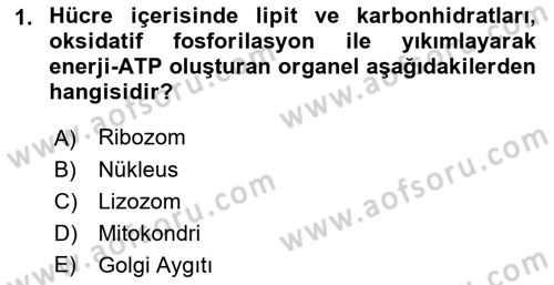 Temel Veteriner Genetik Dersi 2019 - 2020 Yılı (Final) Dönem Sonu Sınav Soruları 1. Soru