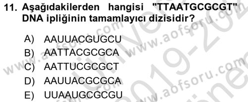 Temel Veteriner Genetik Dersi 2019 - 2020 Yılı (Final) Dönem Sonu Sınav Soruları 11. Soru