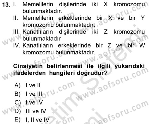 Temel Veteriner Genetik Dersi 2019 - 2020 Yılı (Final) Dönem Sonu Sınav Soruları 13. Soru