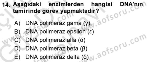 Temel Veteriner Genetik Dersi 2019 - 2020 Yılı (Final) Dönem Sonu Sınav Soruları 14. Soru