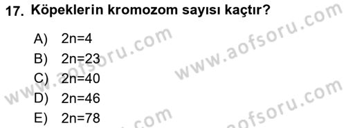 Temel Veteriner Genetik Dersi 2019 - 2020 Yılı (Final) Dönem Sonu Sınav Soruları 17. Soru