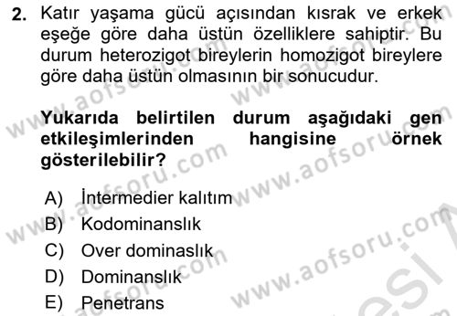 Temel Veteriner Genetik Dersi 2019 - 2020 Yılı (Final) Dönem Sonu Sınav Soruları 2. Soru
