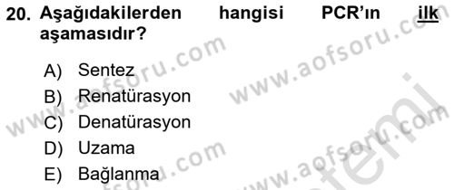 Temel Veteriner Genetik Dersi 2019 - 2020 Yılı (Final) Dönem Sonu Sınav Soruları 20. Soru