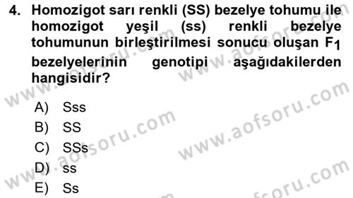 Temel Veteriner Genetik Dersi 2019 - 2020 Yılı (Final) Dönem Sonu Sınav Soruları 4. Soru
