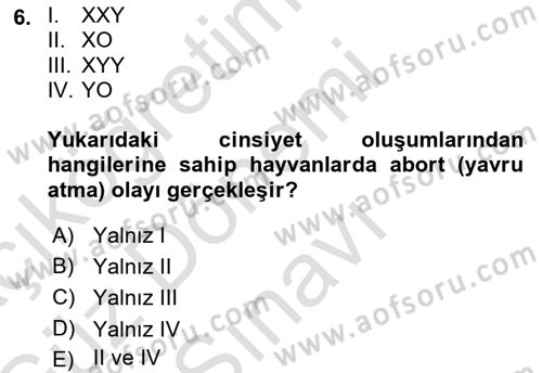 Temel Veteriner Genetik Dersi 2019 - 2020 Yılı (Final) Dönem Sonu Sınav Soruları 6. Soru