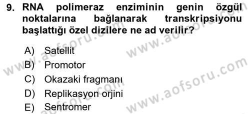 Temel Veteriner Genetik Dersi 2019 - 2020 Yılı (Final) Dönem Sonu Sınavı 9. Soru