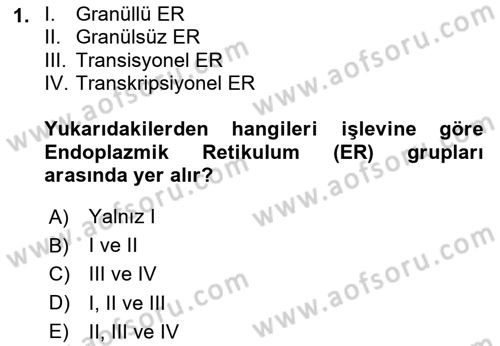 Temel Veteriner Genetik Dersi 2020 - 2021 Yılı Yaz Okulu Sınav Soruları 1. Soru