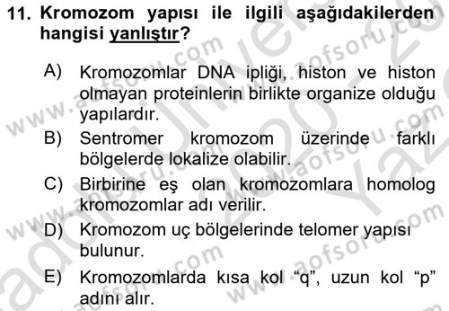 Temel Veteriner Genetik Dersi 2020 - 2021 Yılı Yaz Okulu Sınav Soruları 11. Soru