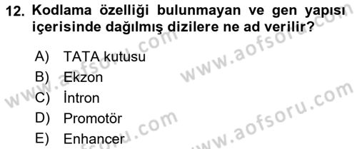 Temel Veteriner Genetik Dersi 2020 - 2021 Yılı Yaz Okulu Sınav Soruları 12. Soru