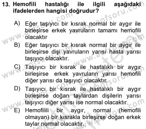 Temel Veteriner Genetik Dersi 2020 - 2021 Yılı Yaz Okulu Sınav Soruları 13. Soru