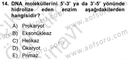 Temel Veteriner Genetik Dersi 2020 - 2021 Yılı Yaz Okulu Sınav Soruları 14. Soru