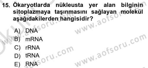 Temel Veteriner Genetik Dersi 2020 - 2021 Yılı Yaz Okulu Sınav Soruları 15. Soru