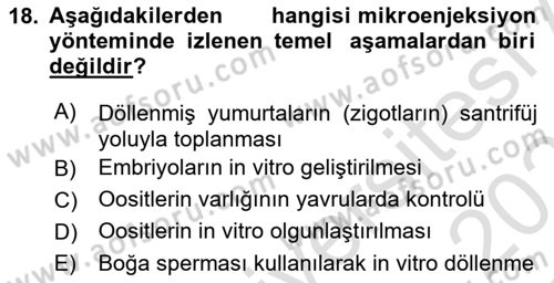 Temel Veteriner Genetik Dersi 2020 - 2021 Yılı Yaz Okulu Sınav Soruları 18. Soru