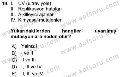 Temel Veteriner Genetik Dersi 2020 - 2021 Yılı Yaz Okulu Sınav Soruları 19. Soru