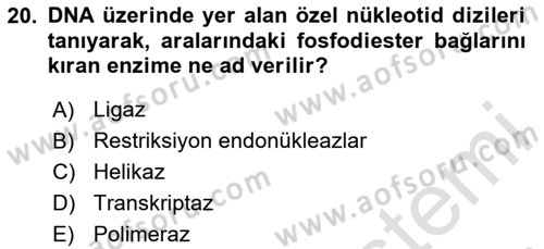 Temel Veteriner Genetik Dersi 2020 - 2021 Yılı Yaz Okulu Sınav Soruları 20. Soru