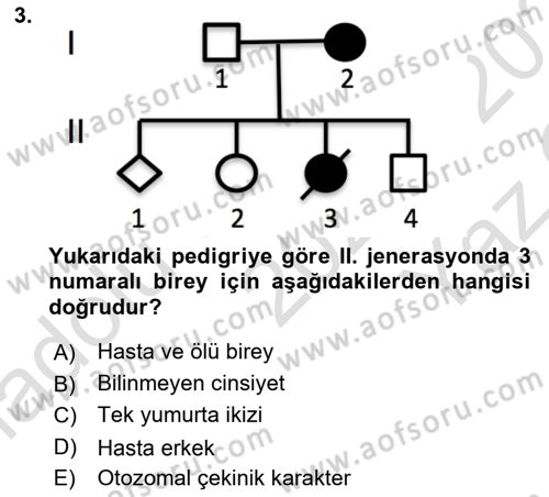 Temel Veteriner Genetik Dersi 2020 - 2021 Yılı Yaz Okulu Sınav Soruları 3. Soru