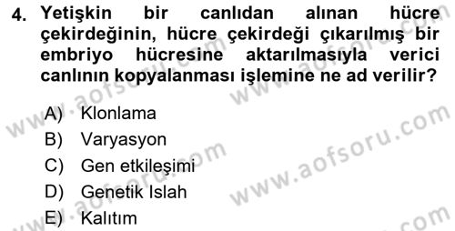 Temel Veteriner Genetik Dersi 2020 - 2021 Yılı Yaz Okulu Sınav Soruları 4. Soru