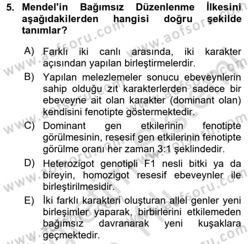 Temel Veteriner Genetik Dersi 2020 - 2021 Yılı Yaz Okulu Sınav Soruları 5. Soru