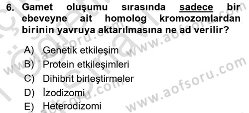 Temel Veteriner Genetik Dersi 2020 - 2021 Yılı Yaz Okulu Sınav Soruları 6. Soru