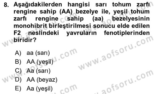 Temel Veteriner Genetik Dersi 2020 - 2021 Yılı Yaz Okulu Sınav Soruları 8. Soru