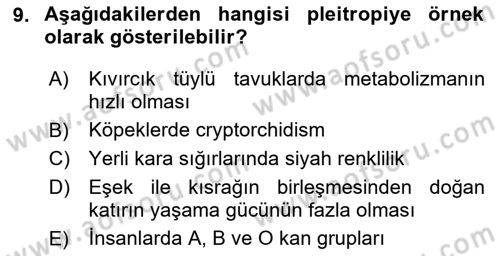 Temel Veteriner Genetik Dersi 2020 - 2021 Yılı Yaz Okulu Sınav Soruları 9. Soru