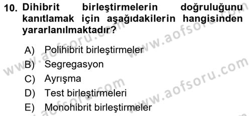 Temel Veteriner Genetik Dersi Ara Sınavı Deneme Sınav Soruları 10. Soru