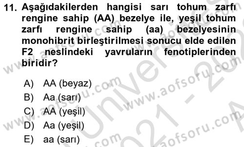 Temel Veteriner Genetik Dersi Ara Sınavı Deneme Sınav Soruları 11. Soru