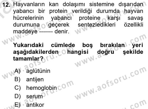 Temel Veteriner Genetik Dersi 2021 - 2022 Yılı (Vize) Ara Sınav Soruları 12. Soru