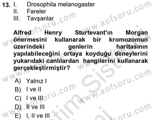 Temel Veteriner Genetik Dersi Ara Sınavı Deneme Sınav Soruları 13. Soru