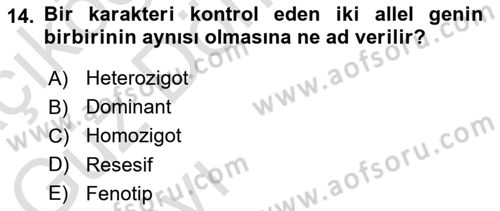 Temel Veteriner Genetik Dersi Ara Sınavı Deneme Sınav Soruları 14. Soru