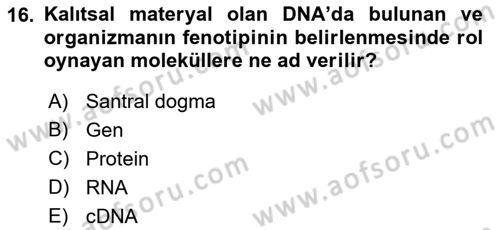 Temel Veteriner Genetik Dersi 2021 - 2022 Yılı (Vize) Ara Sınav Soruları 16. Soru