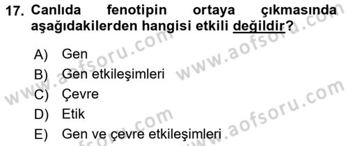 Temel Veteriner Genetik Dersi Ara Sınavı Deneme Sınav Soruları 17. Soru