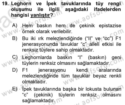 Temel Veteriner Genetik Dersi 2021 - 2022 Yılı (Vize) Ara Sınav Soruları 19. Soru
