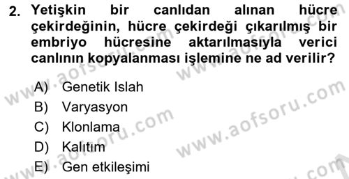 Temel Veteriner Genetik Dersi Ara Sınavı Deneme Sınav Soruları 2. Soru