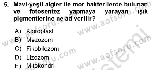 Temel Veteriner Genetik Dersi Ara Sınavı Deneme Sınav Soruları 5. Soru