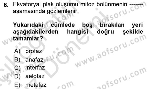 Temel Veteriner Genetik Dersi Ara Sınavı Deneme Sınav Soruları 6. Soru