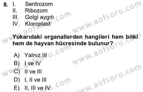 Temel Veteriner Genetik Dersi Ara Sınavı Deneme Sınav Soruları 8. Soru
