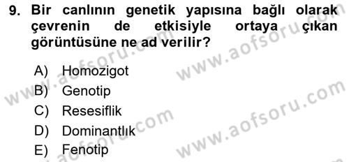 Temel Veteriner Genetik Dersi 2021 - 2022 Yılı (Vize) Ara Sınav Soruları 9. Soru