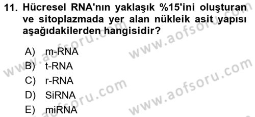 Temel Veteriner Genetik Dersi 2021 - 2022 Yılı (Final) Dönem Sonu Sınav Soruları 11. Soru