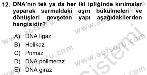 Temel Veteriner Genetik Dersi 2021 - 2022 Yılı (Final) Dönem Sonu Sınav Soruları 12. Soru